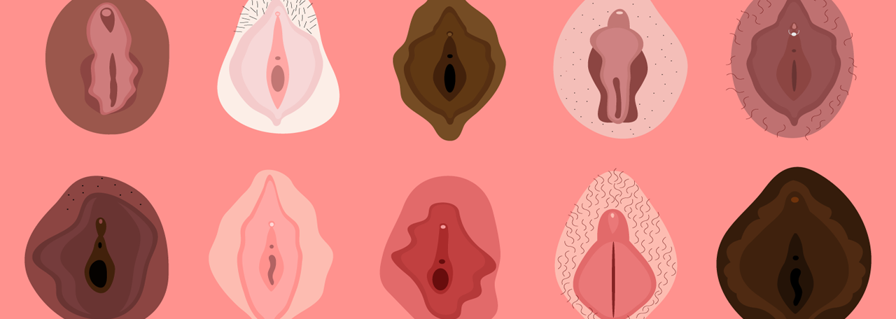 Vulva Shapes.